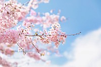 ブログ開設
